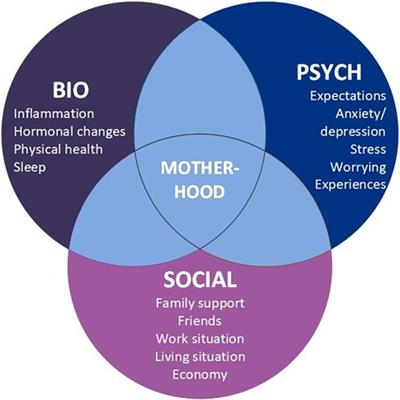 Motherhood and rheumatic disease – a balancing act. A qualitative study on the challenges of mothers with inflammatory arthritis